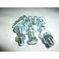 Ape Tuk Tuk Spares 10*25 Bolt With Nut